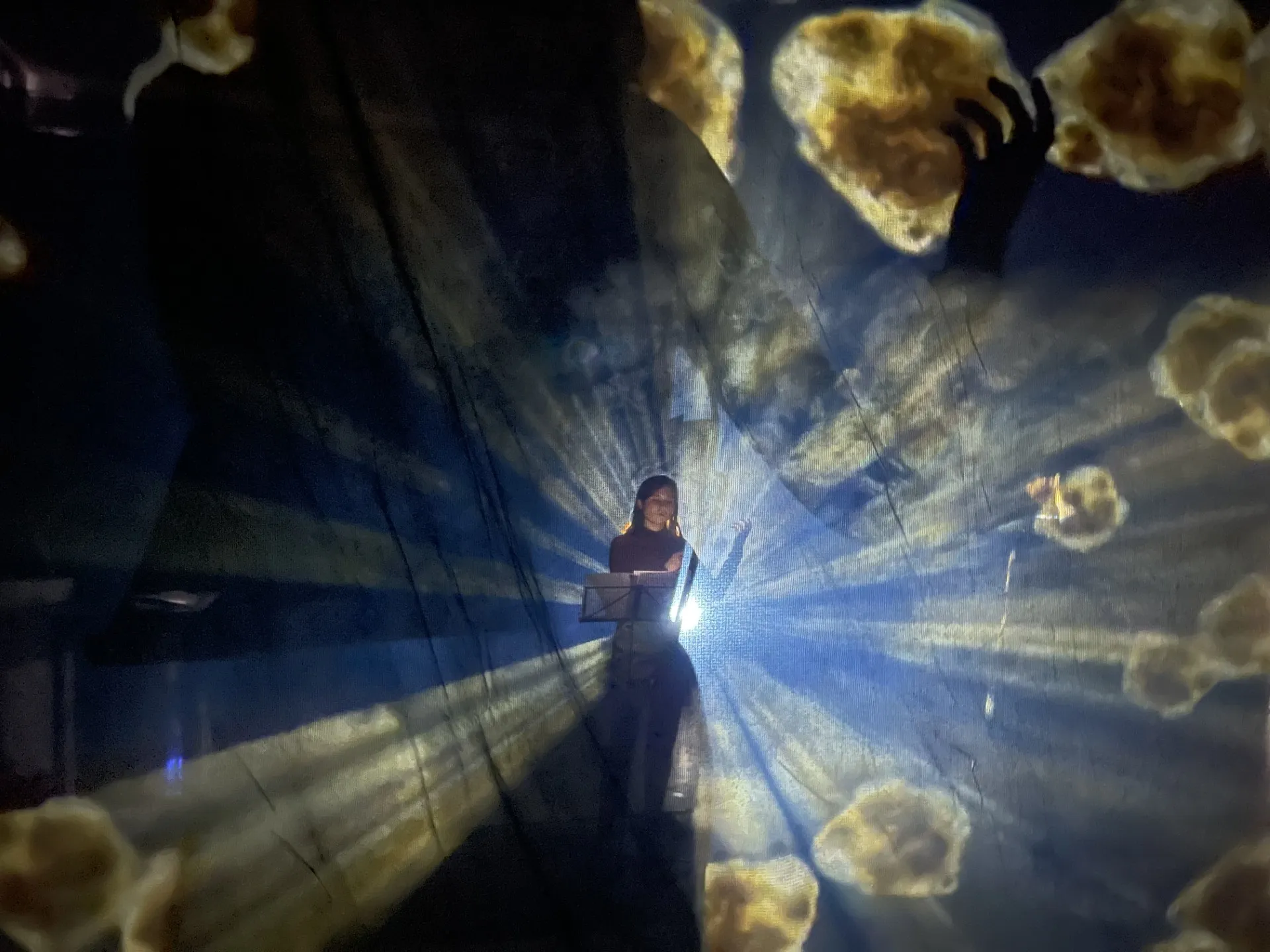 A performer stands behind a music stand in a beam of light, with projected shapes across a translucent curtain.
