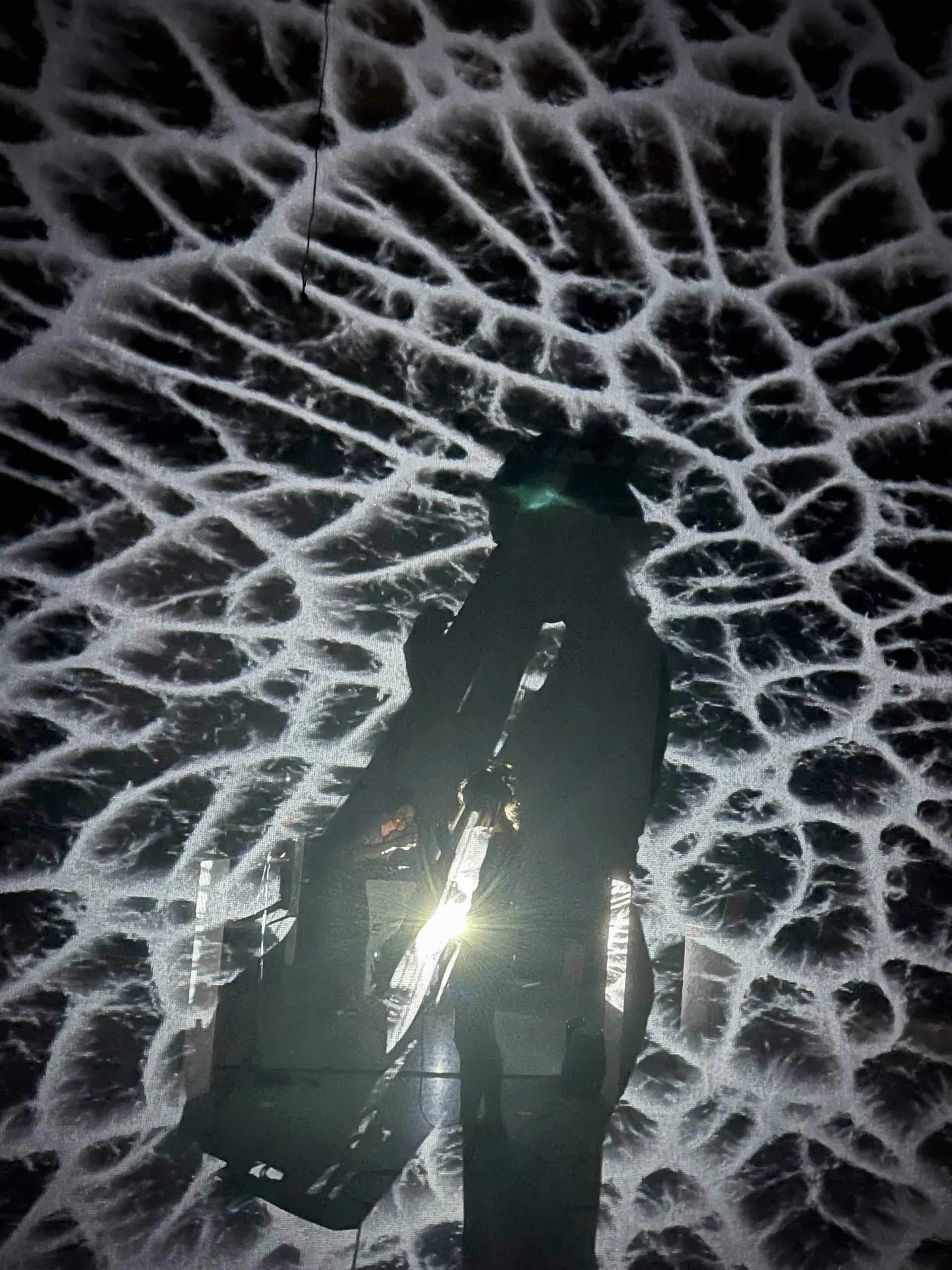 A performer silhouetted against a projected network of white veins on a dark background.